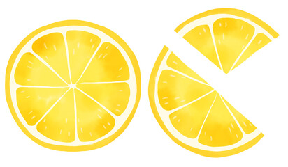 Watercolor style lemon cut cross section illustration