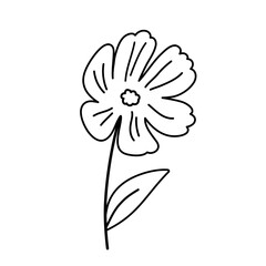 Obraz premium Doodle vector flower contour symbol isolated on a transparent background