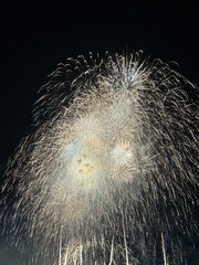 Spectacular Fireworks Display Lighting Up the Night Sky