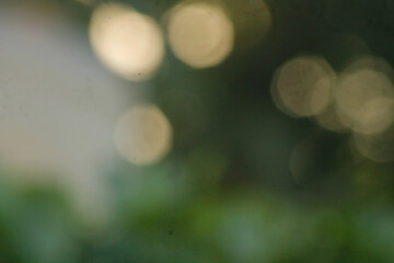 Green bokeh background from nature forest with morning sunlight out of focus	
