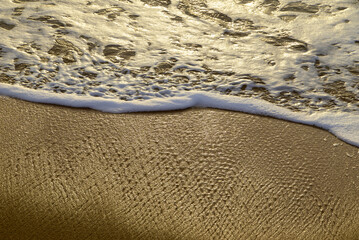 Gentle waves lap against warm beach sand along the Coral Sea coast north of Cairns—tropical serenity framed by soft light and timeless coastal rhythms.
