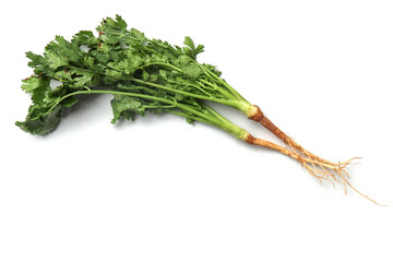 close up and flat lay Coriander fresh green vegetables on a white background