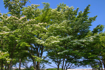 木場潟公園