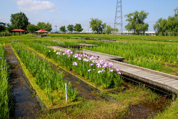 木場潟公園