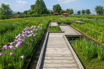 木場潟公園