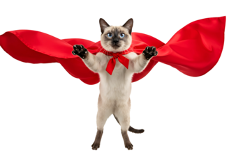 cat wearing a red superhero cape flying isolated on transparent background