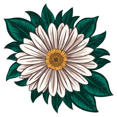 Elegant white daisy flower with lush green leaves transparent background