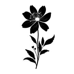 Obraz premium Elegant black silhouette flower design transparent background