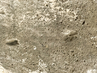 Surface of a weathered stone showing unique textures and markings in natural light