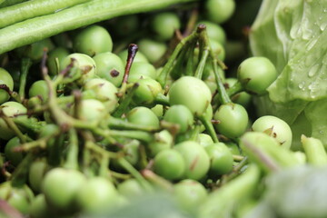 fresh Pea eggplant healthy food