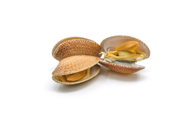 Closed up fresh baby clams. venus shell. shellfish. carpet clams. short necked clams. as raw food from the sea are the seafood ingredients. fresh clams Background.