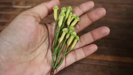 A bunch of green cloves with stalk on the palm of the hand.