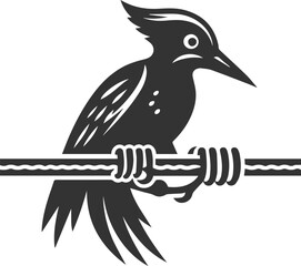 Woodpecker bird vector silhouette illustration