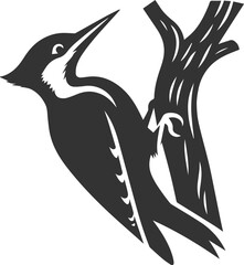 Woodpecker bird vector silhouette illustration