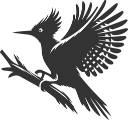 Woodpecker bird vector silhouette illustration