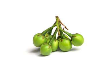 Pea eggplant on white background. Natural food.