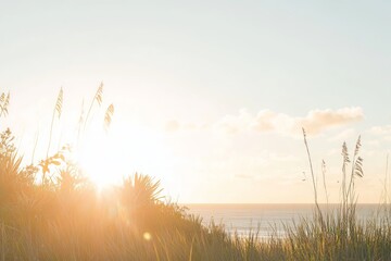 Fototapeta premium Golden Hour Sunset Over Ocean Beach with Coastal Plants