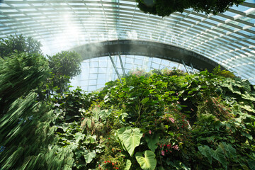 クラウドフォレストのジュラシックワールド　Jurassic World at Could Forest, Singapore