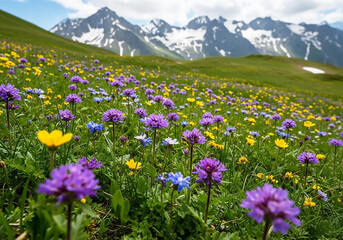 Alpine Meadow in Bloom Vibrant Wildflowers and Majestic Mountain Scenery