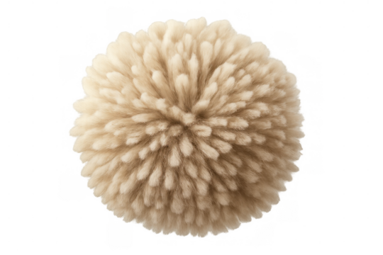 Plush beige sphere with spreading bristles forming soft, abstract texture against transparent backdrop