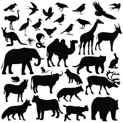 A collection of diverse animal silhouettes featuring birds mammals and reptiles