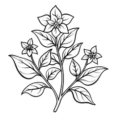 black and white background