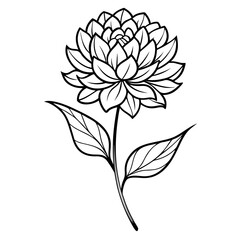 black and white flower