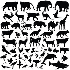 Silhouetted animal assortment mammal bird fish  insect forms