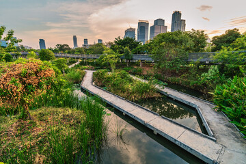 Bangkok city park called the Benjakitti
