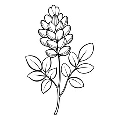 black and white flower
