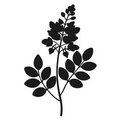 black and white flower