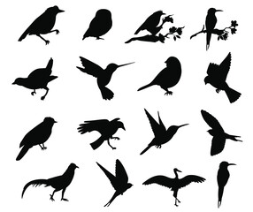 Black silhouettes of birds in various poses are arranged on a white background