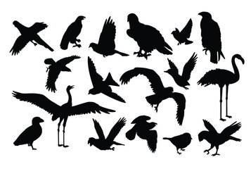 Group of 17 silhouette birds in varying poses including flamingo crane eagle and smaller birds on a white background