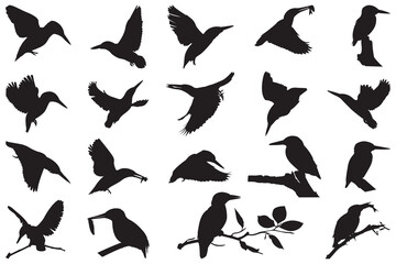 Silhouette of twenty kingfisher birds in various poses flying or perched on branches isolated on a white background © Neko funny