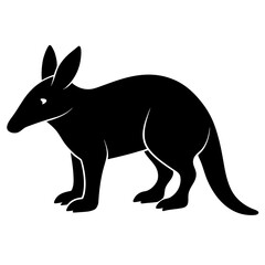Aardvark on white background