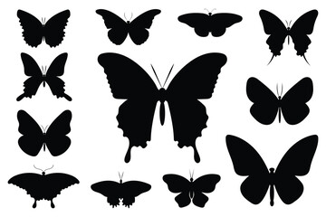 Silhouette image displays eleven butterflies in varied sizes wing shapes and arrangements against a white background