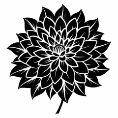 black and white flower