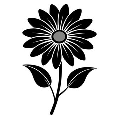 Fototapeta premium black and white background