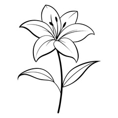 black and white background