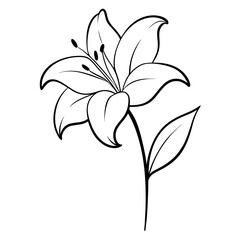 black and white background