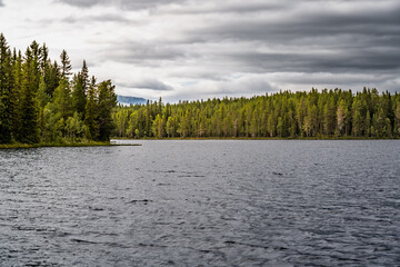 Serene lake nestled among lush pine forests in Vålådalen nature reserve on a cloudy summer day, a tranquil escape in Jämtland Län, Sweden.