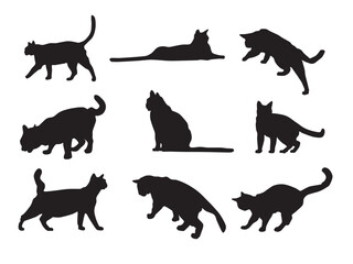 Black silhouettes of nine cats in various poses scattered on a white background