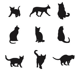 Nine black silhouette cat figures are scattered on a white backdrop in a 3x3 grid formation