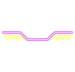 Neon Line Border Decoration