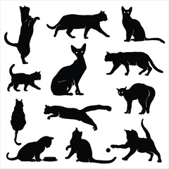 Silhouettes of twelve cats in various poses against a white background