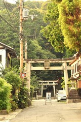 Obraz premium 京都 神社 鳥居