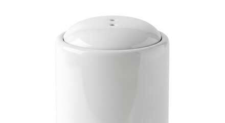 Elegant White Ceramic Salt and Pepper Shaker