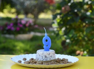 Bolo de aniversário de cachorro feito em casa. Os ingredientes foram ração, frango e fígado. O...