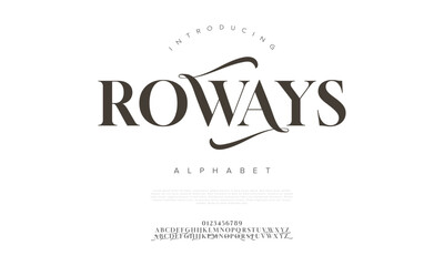 graceful serif font with smooth swashes and elegant curves, perfect for branding and editorial designs