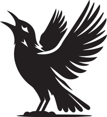 Vector bird myna silhouette illustration